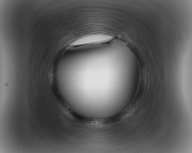 X0000083530080200703091521