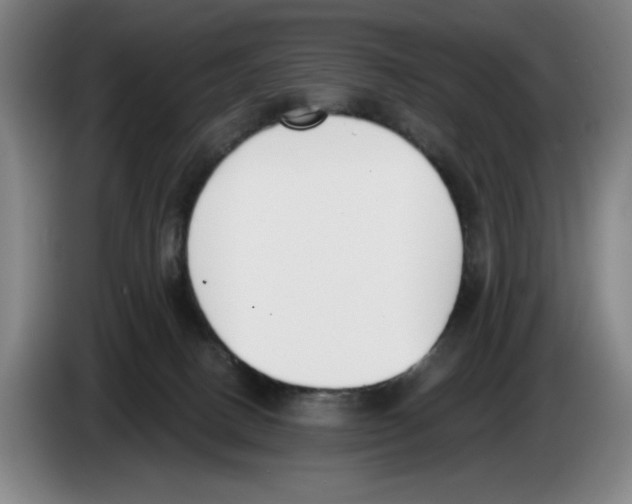 X0000083530082200703091521