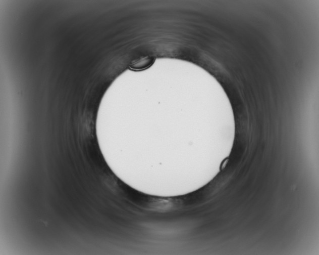 X0000083530083200703091521