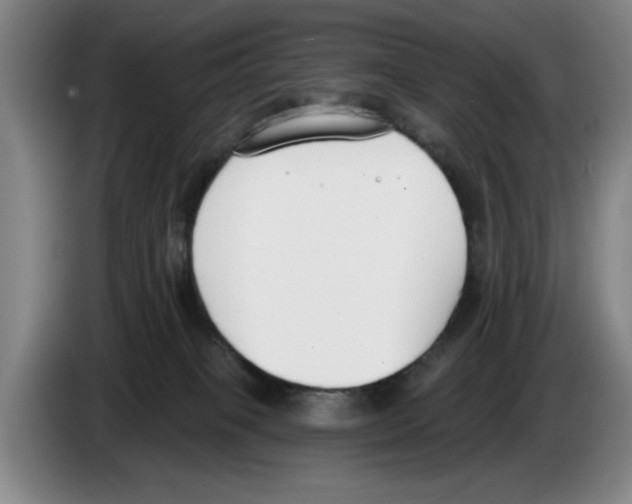 X0000083530085200703091521