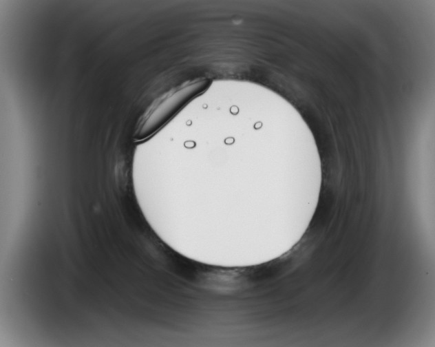 X0000083530086200703091521