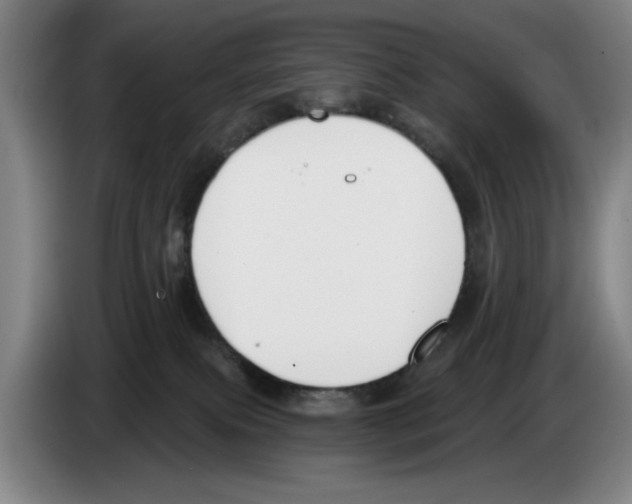 X0000083530087200703091521