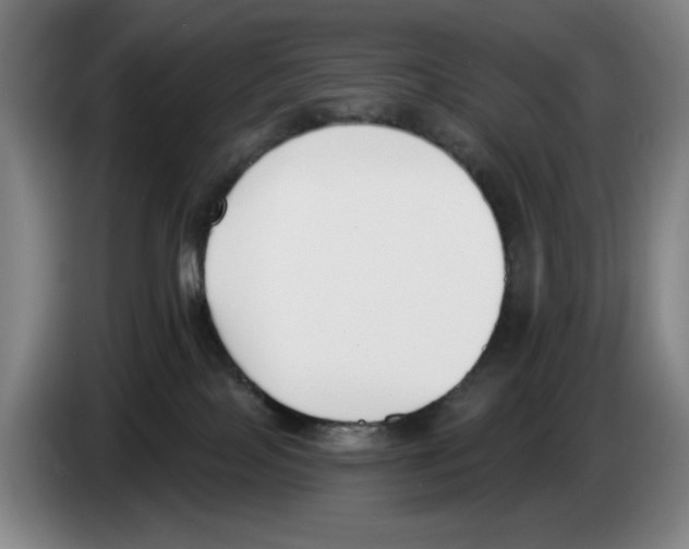 X0000083530089200703091521