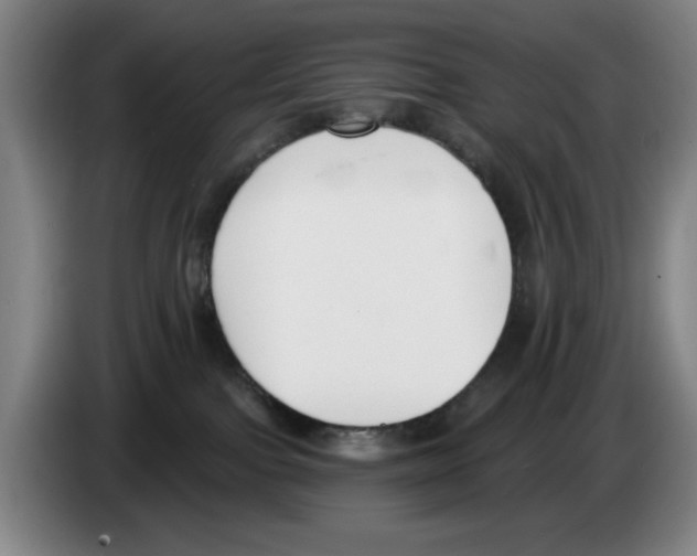 X0000083530091200703091521