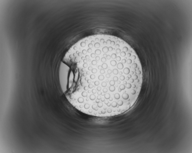 X0000083530094200703091521