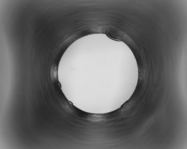 X0000083530095200703091521