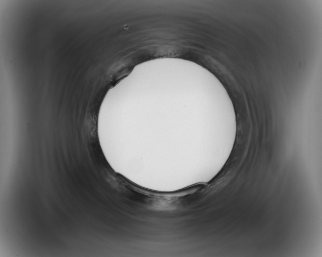 X0000083530096200703091521