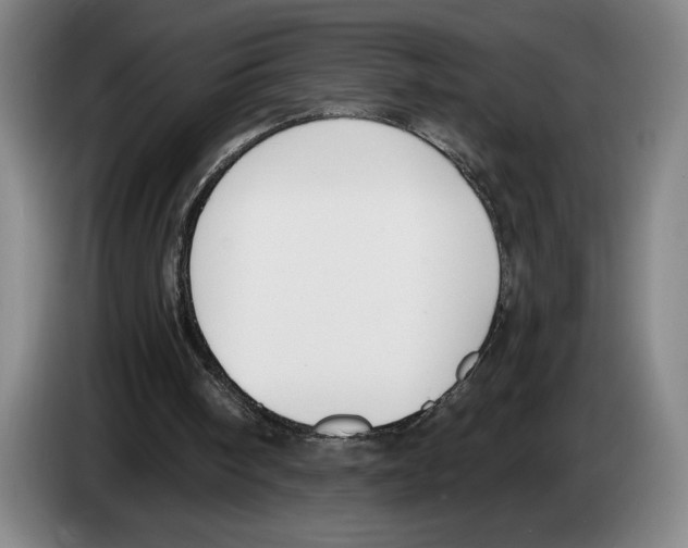 X0000083530098200703091520