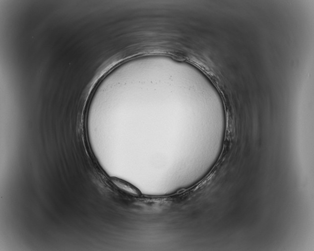 X0000083530099200703091520