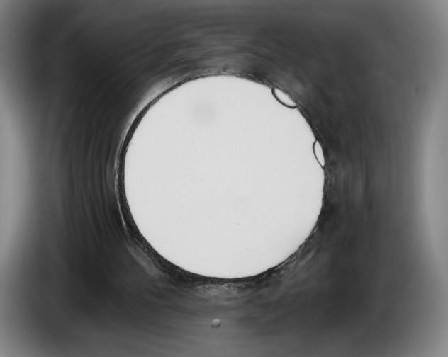 X0000083530100200703091520