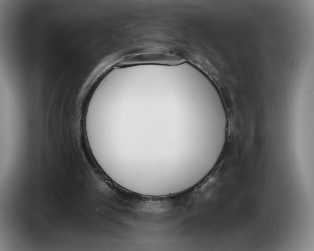 X0000083530101200703091520