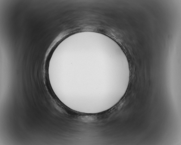 X0000083530102200703091520