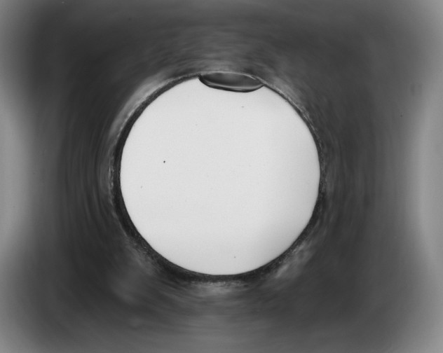 X0000083530103200703091520