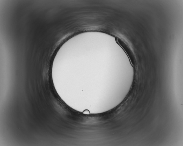 X0000083530107200703091520