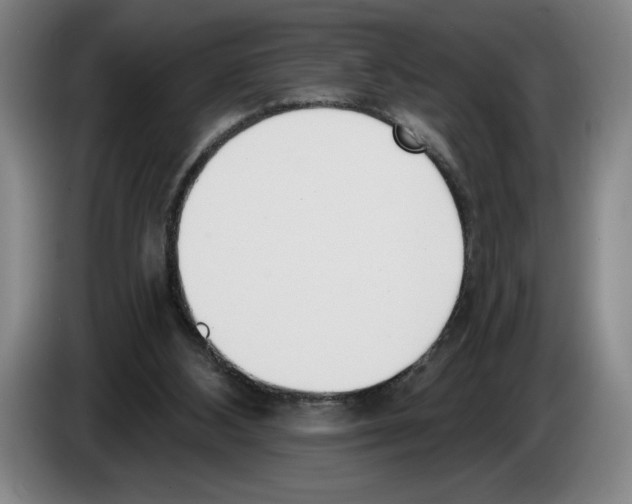 X0000083530108200703091520