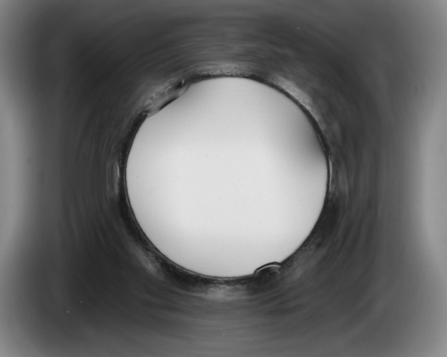 X0000083530109200703091520