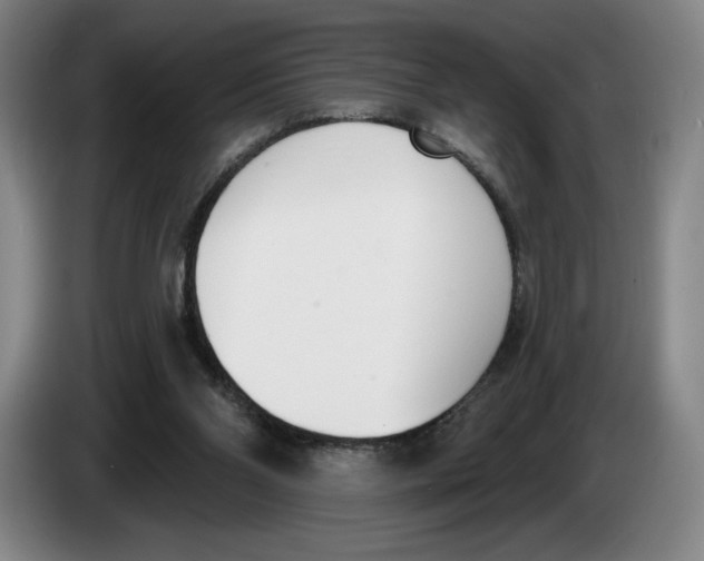 X0000083530110200703091520