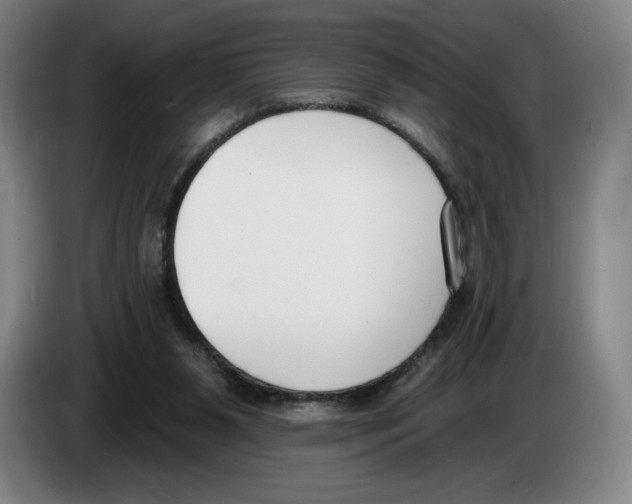 X0000083530111200703091520