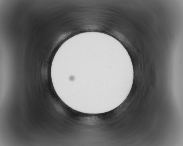 X0000083530112200703091520