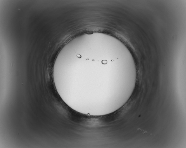 X0000083530114200703091520