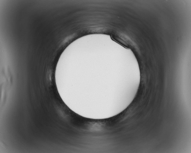 X0000083530115200703091520