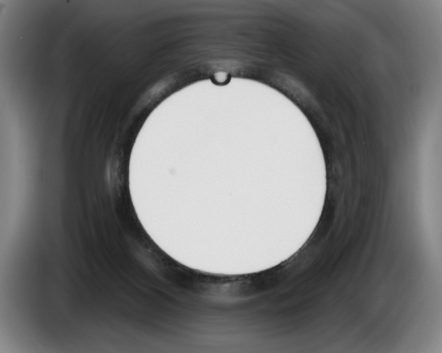 X0000083530116200703091520