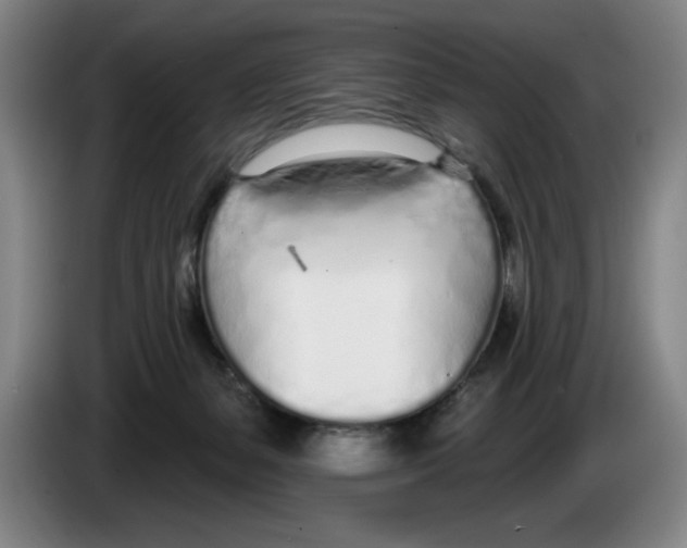 X0000083530127200703091520