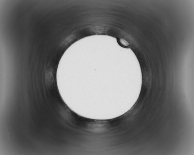 X0000083530128200703091520