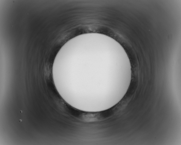 X0000083530129200703091520