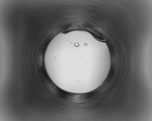 X0000083530130200703091520