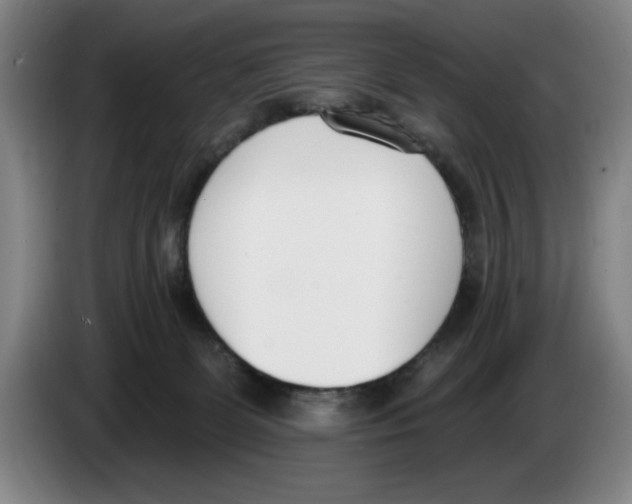 X0000083530131200703091520