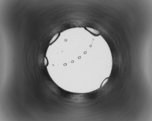 X0000083530132200703091520