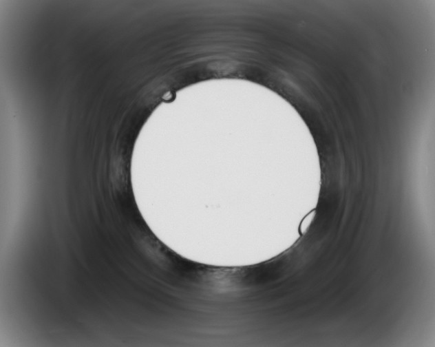 X0000083530136200703091520