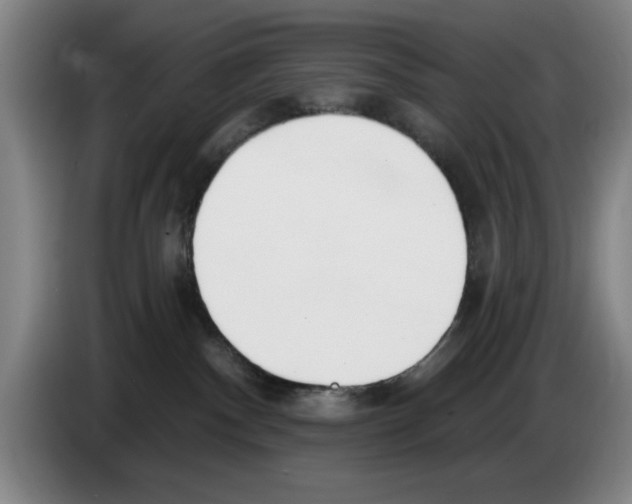 X0000083530140200703091520