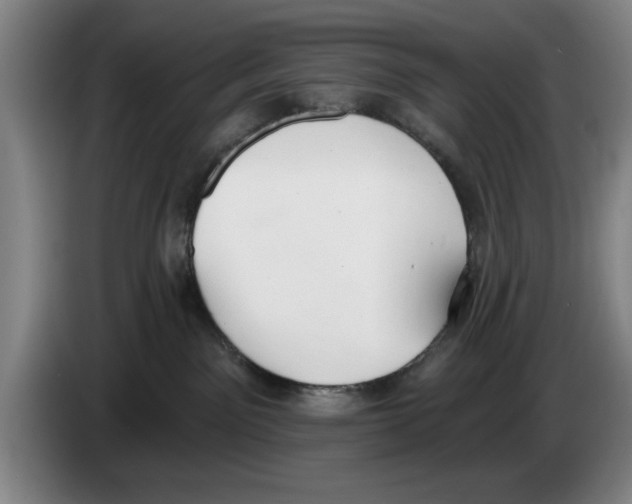 X0000083530141200703091520