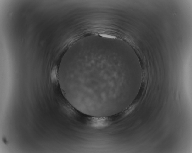 X0000083530143200703091520