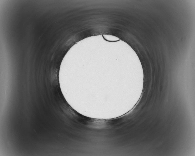 X0000083530144200703091520