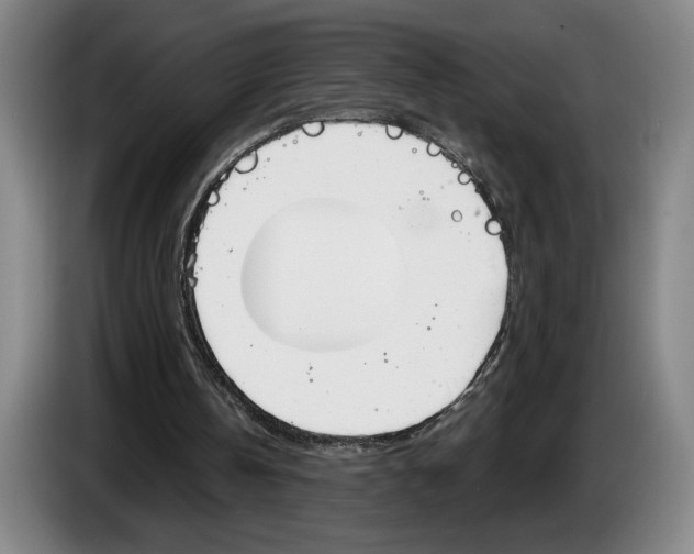 X0000083530146200703091519