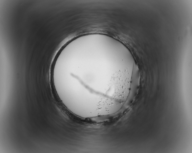 X0000083530148200703091519