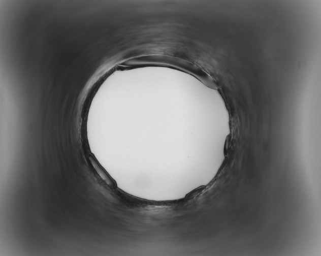 X0000083530150200703091519