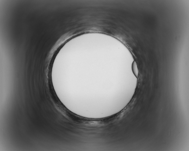 X0000083530151200703091519