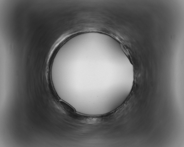 X0000083530152200703091519