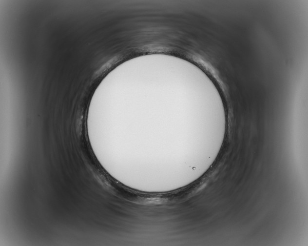 X0000083530153200703091519