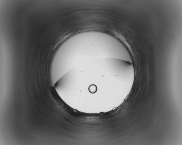 X0000083530154200703091519