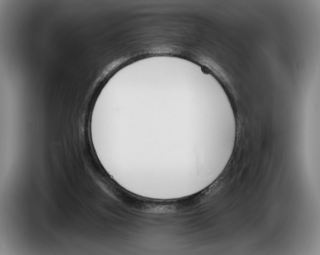 X0000083530155200703091519