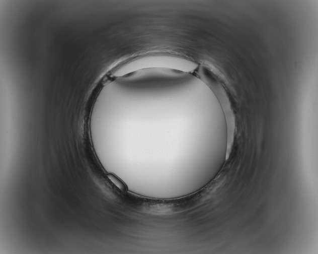 X0000083530156200703091519