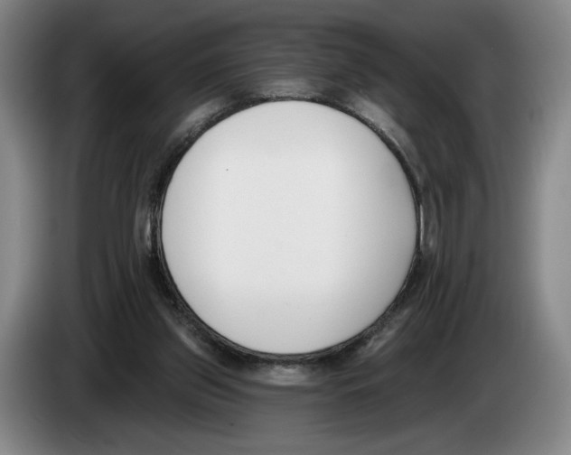 X0000083530157200703091519