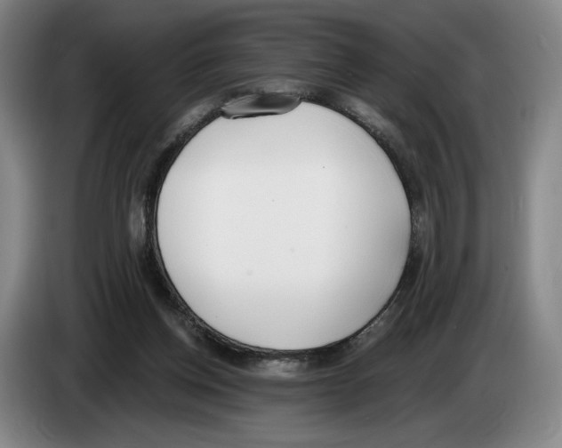 X0000083530158200703091519