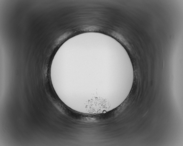 X0000083530159200703091519