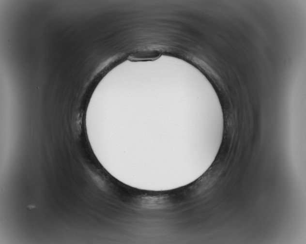 X0000083530160200703091519